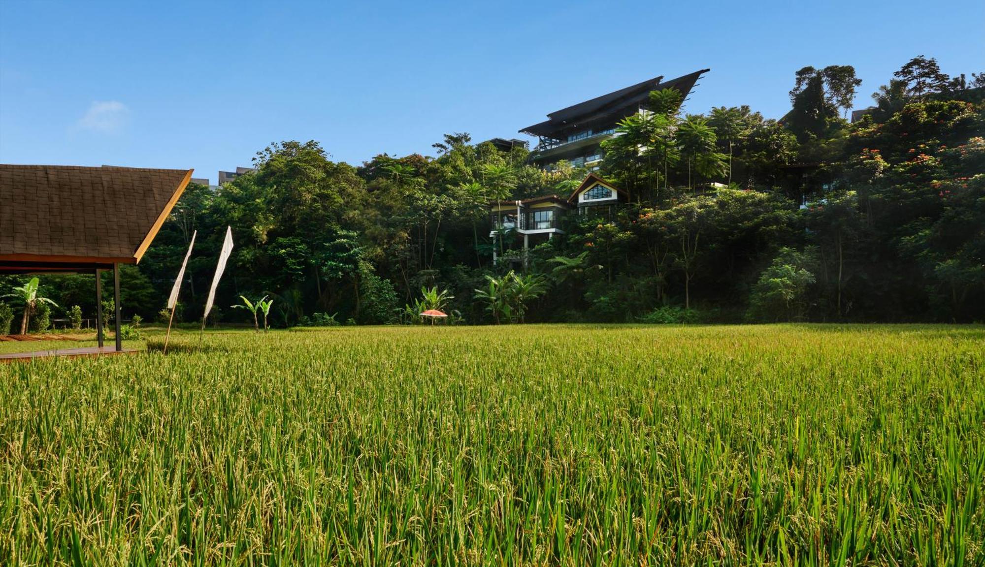 Pullman Ciawi Vimala Hills Resort Bogor Eksteriør bilde